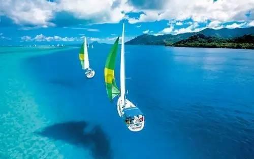 飞行汽车正成低空经济新热点